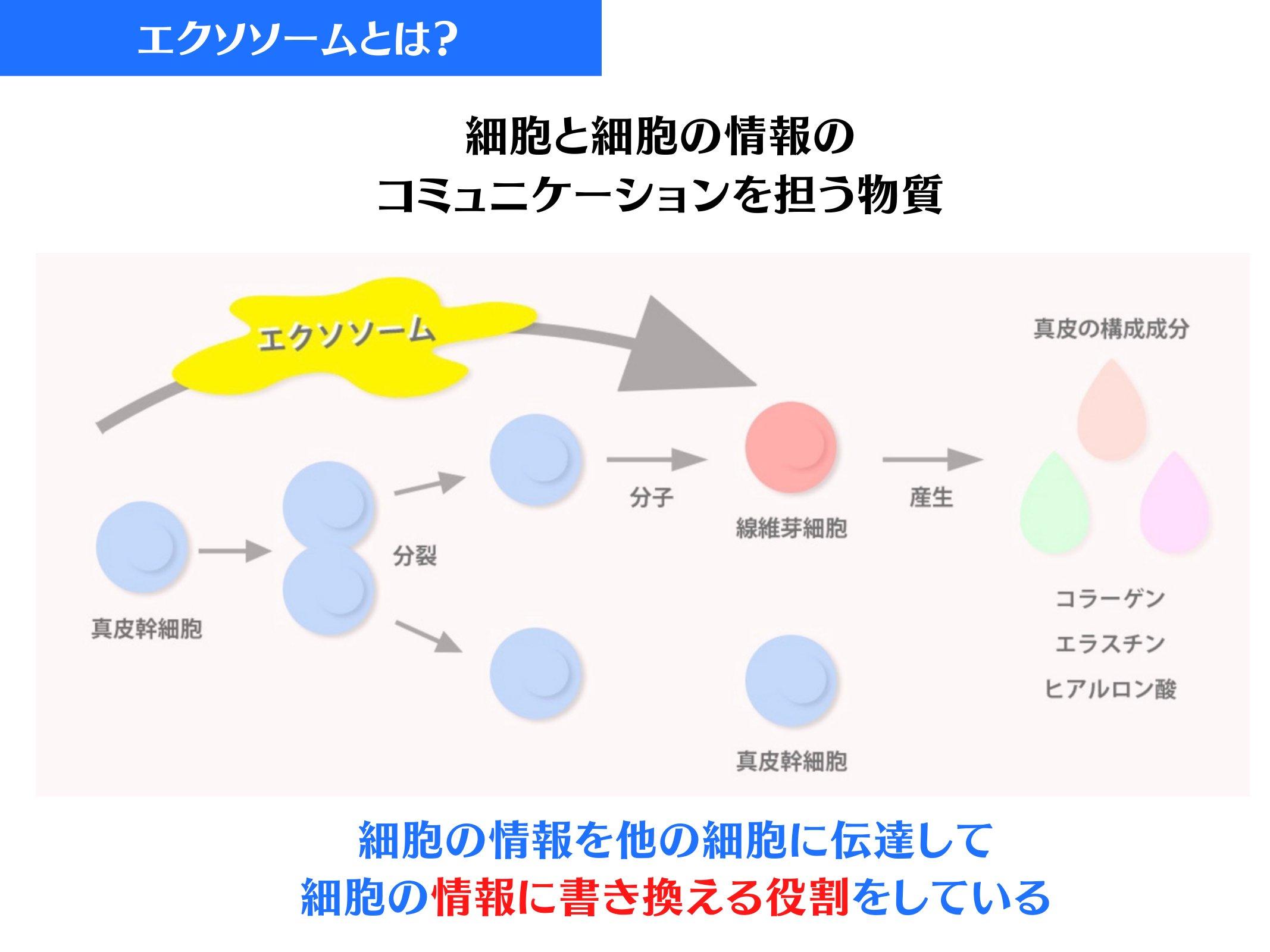 Slide 18