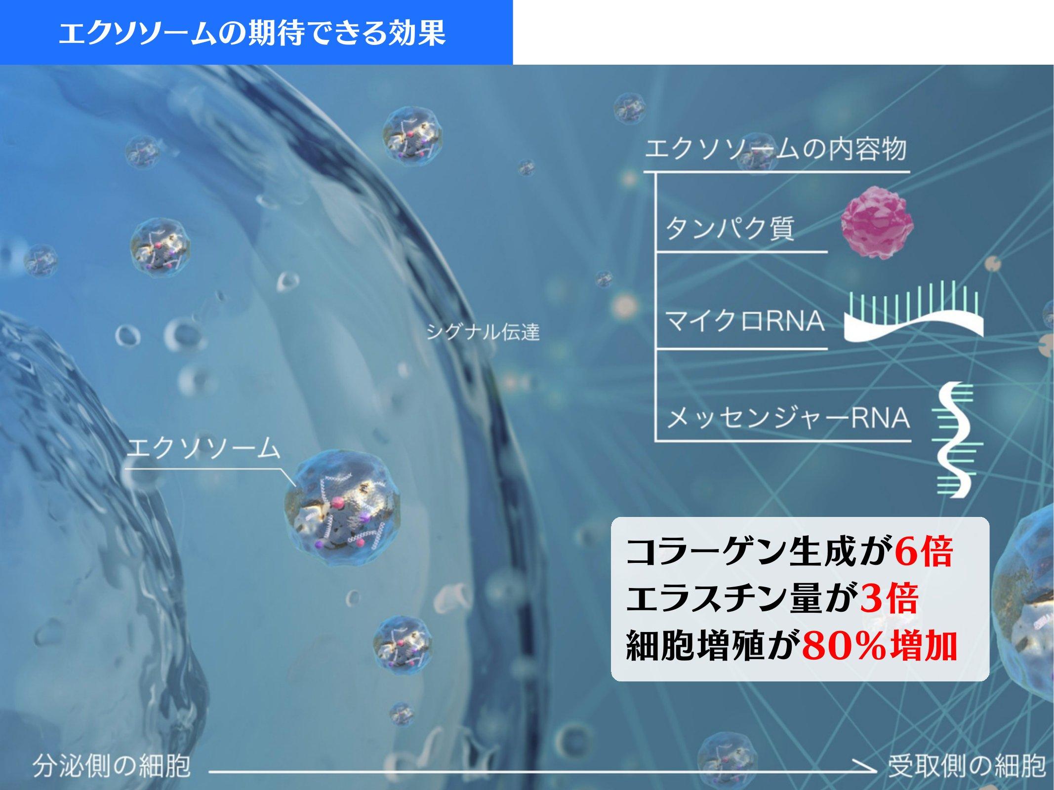 Slide 19