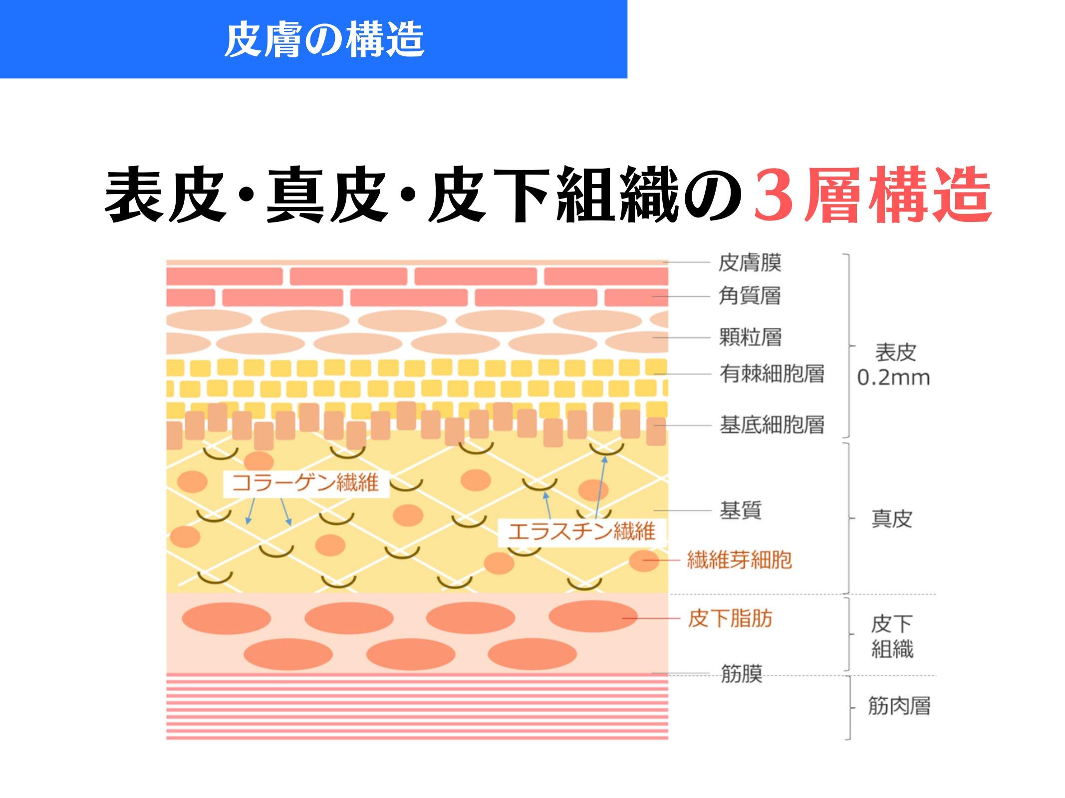 Slide 43